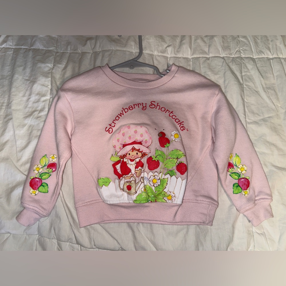 2T Strawberry Shortcake Soft Sweater